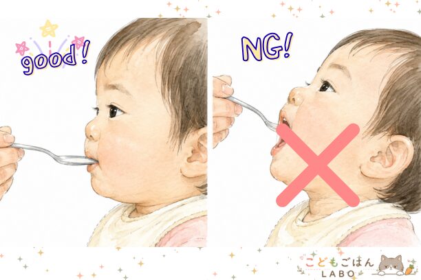 スプーンの入れ方の良い例と悪い例。上唇を使って自分から取りこむ入れ方と、口に流し込む入れ方の比較
