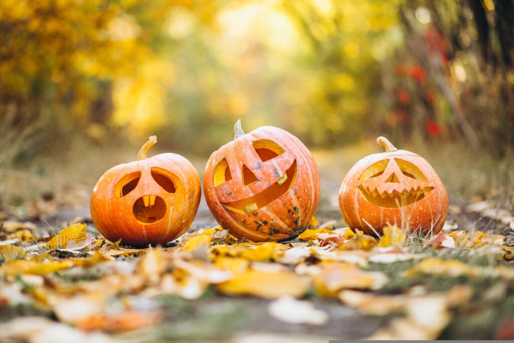 落ち葉の上に並んだハロウィンのかぼちゃ
